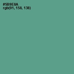 #5B9E8A - Smalt Blue Color Image