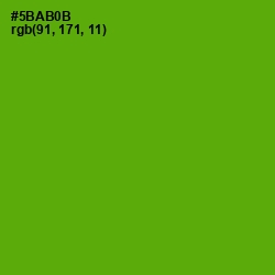 #5BAB0B - Christi Color Image