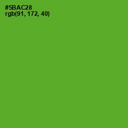 #5BAC28 - Apple Color Image
