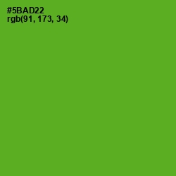 #5BAD22 - Apple Color Image