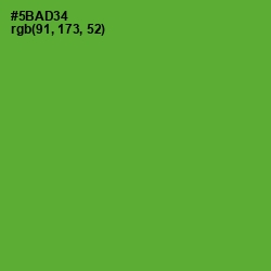 #5BAD34 - Apple Color Image