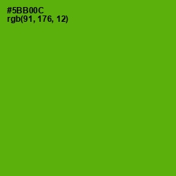 #5BB00C - Christi Color Image