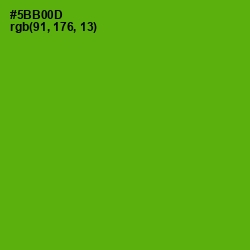 #5BB00D - Christi Color Image