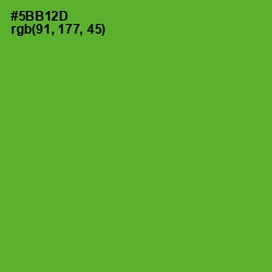 #5BB12D - Apple Color Image