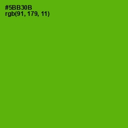 #5BB30B - Christi Color Image