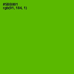 #5BB801 - Christi Color Image