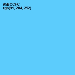 #5BCCFC - Turquoise Blue Color Image