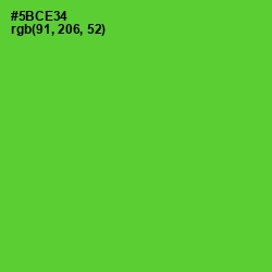 #5BCE34 - Bright Green Color Image
