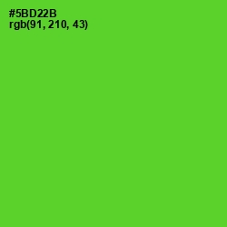 #5BD22B - Bright Green Color Image