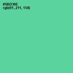 #5BD39E - De York Color Image