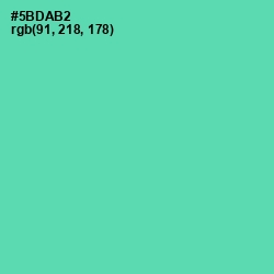 #5BDAB2 - De York Color Image