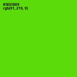 #5BDB09 - Bright Green Color Image