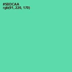 #5BDCAA - De York Color Image