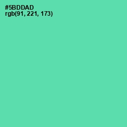 #5BDDAD - De York Color Image