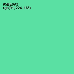 #5BE0A3 - De York Color Image
