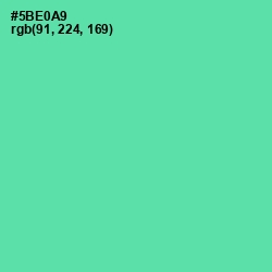 #5BE0A9 - De York Color Image