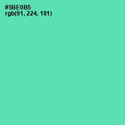 #5BE0B5 - De York Color Image