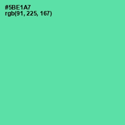 #5BE1A7 - De York Color Image