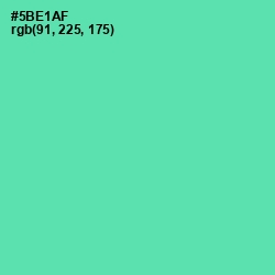#5BE1AF - De York Color Image