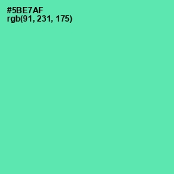 #5BE7AF - De York Color Image