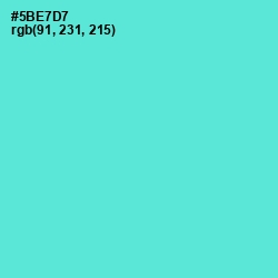 #5BE7D7 - Turquoise Blue Color Image