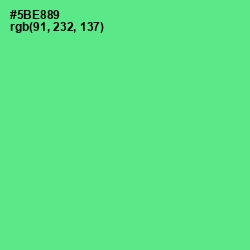 #5BE889 - De York Color Image