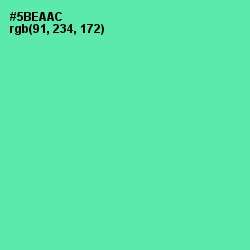 #5BEAAC - De York Color Image
