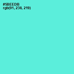 #5BEEDB - Turquoise Blue Color Image