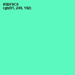 #5BF9C0 - Aquamarine Color Image