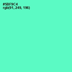 #5BF9C4 - Aquamarine Color Image