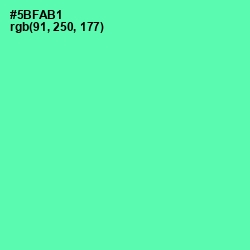#5BFAB1 - De York Color Image