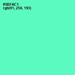 #5BFAC1 - Aquamarine Color Image