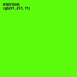 #5BFB0B - Bright Green Color Image