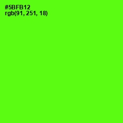 #5BFB12 - Bright Green Color Image