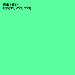 #5BFB9F - De York Color Image