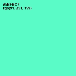 #5BFBC7 - Aquamarine Color Image