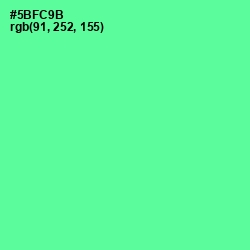 #5BFC9B - De York Color Image