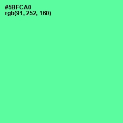 #5BFCA0 - De York Color Image