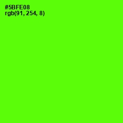 #5BFE08 - Bright Green Color Image