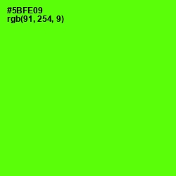 #5BFE09 - Bright Green Color Image