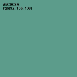 #5C9C8A - Smalt Blue Color Image