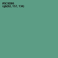 #5C9D86 - Smalt Blue Color Image