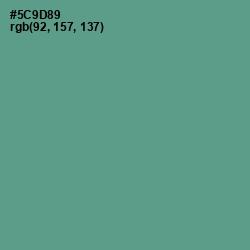 #5C9D89 - Smalt Blue Color Image