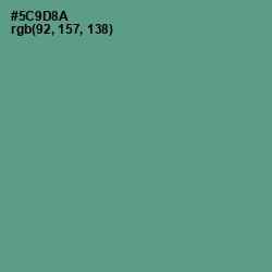 #5C9D8A - Smalt Blue Color Image