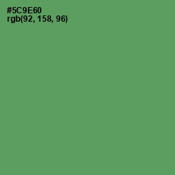 #5C9E60 - Spring Leaves Color Image