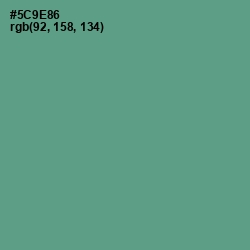 #5C9E86 - Smalt Blue Color Image