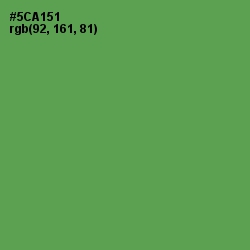 #5CA151 - Fruit Salad Color Image