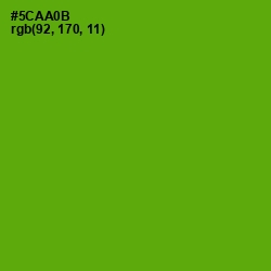 #5CAA0B - Christi Color Image