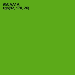 #5CAA1A - Christi Color Image