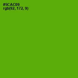 #5CAC09 - Christi Color Image